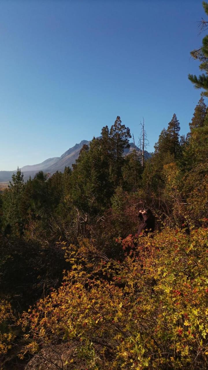 Criollo Lodge Hoyo de Epuyén المظهر الخارجي الصورة